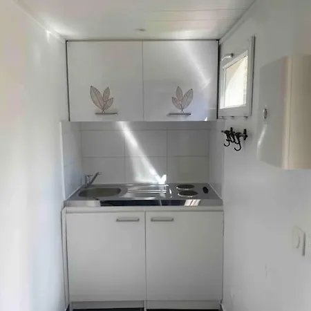 Maisonnette Independante Avec Jardin Apartman Choisy-le-Roi
